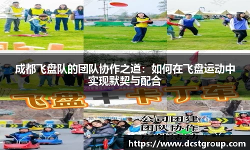 成都飞盘队的团队协作之道：如何在飞盘运动中实现默契与配合