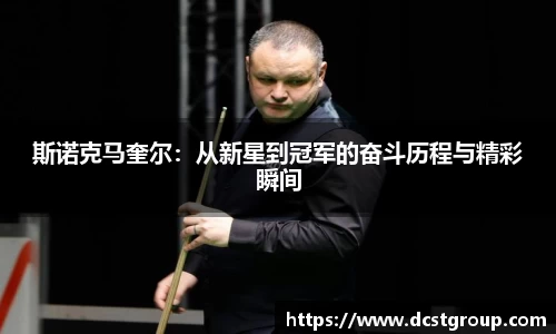 XK星空体育下载